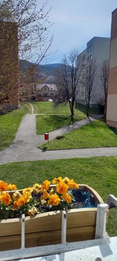 Appartamento Na Lesnej Kowary Esterno foto