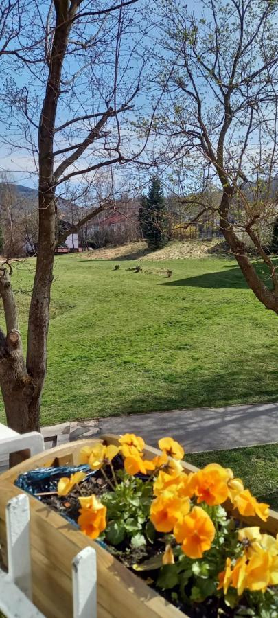 Appartamento Na Lesnej Kowary Esterno foto